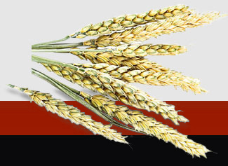 首页-PA真人集团有限公司官网