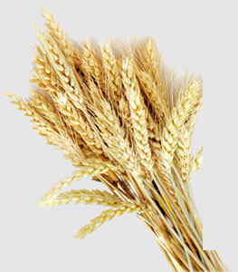 首页-PA真人集团有限公司官网