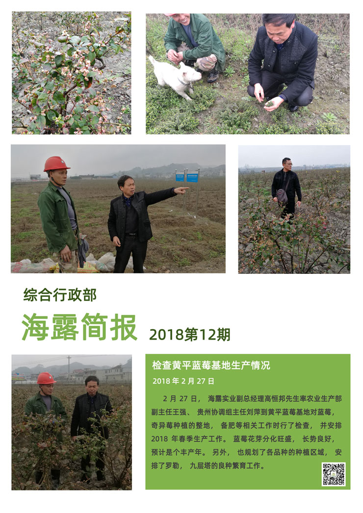 首页-PA真人集团有限公司官网