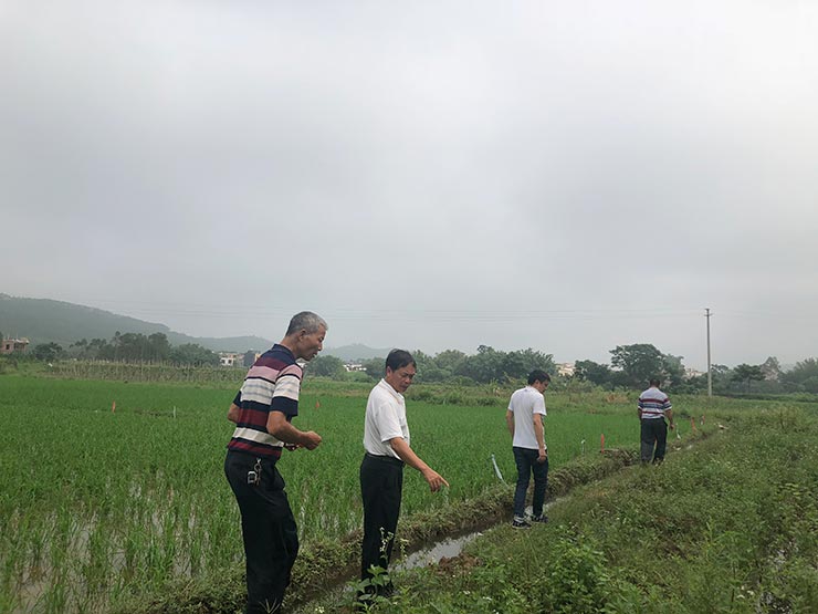首页-PA真人集团有限公司官网
