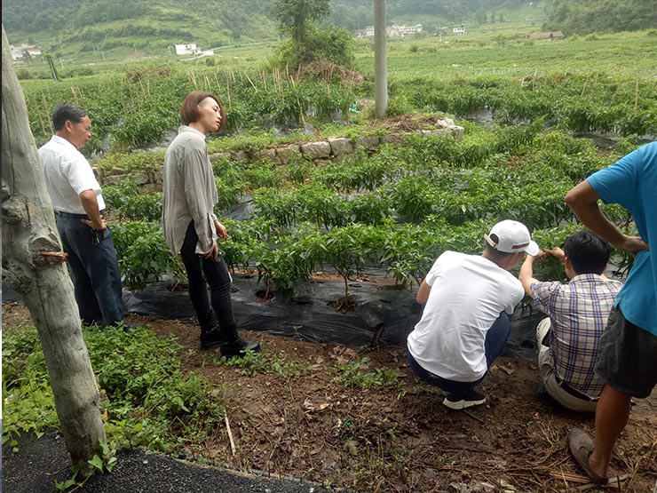 首页-PA真人集团有限公司官网