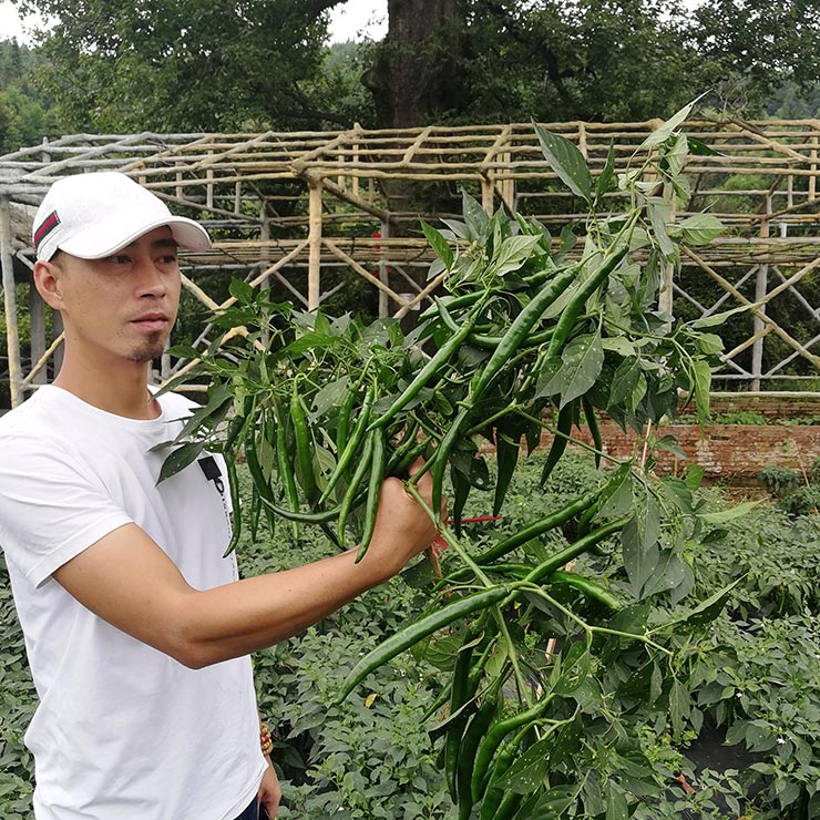 首页-PA真人集团有限公司官网