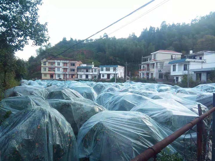 首页-PA真人集团有限公司官网