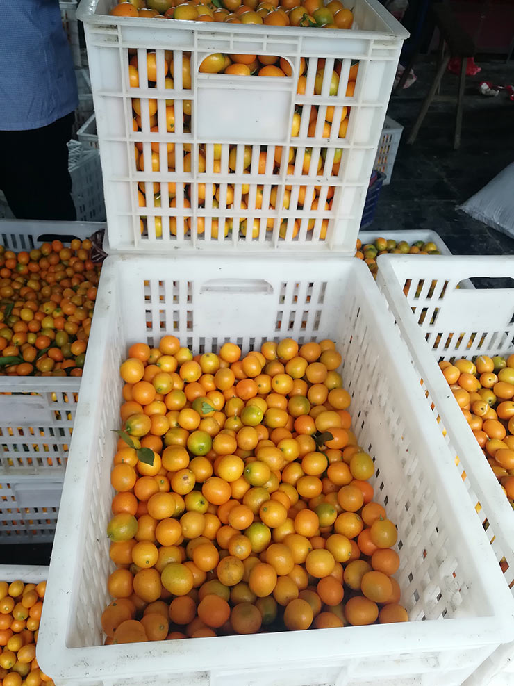 首页-PA真人集团有限公司官网