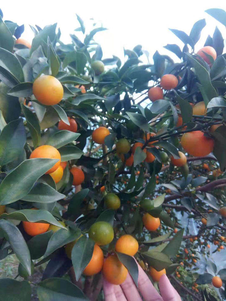 首页-PA真人集团有限公司官网