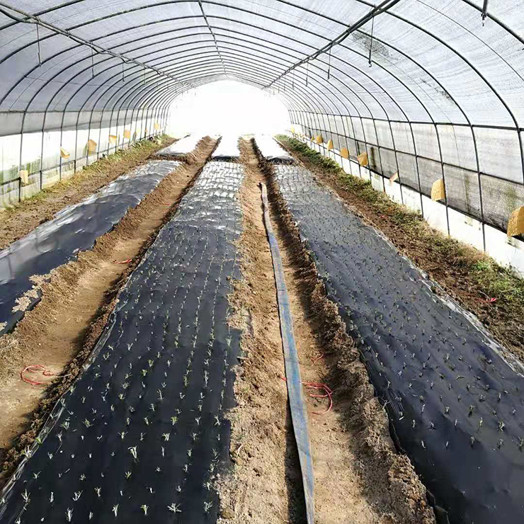 首页-PA真人集团有限公司官网