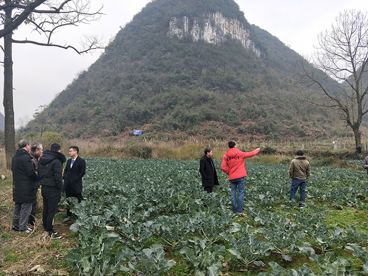 首页-PA真人集团有限公司官网