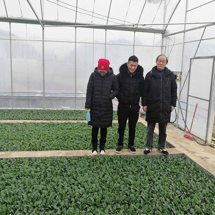 首页-PA真人集团有限公司官网