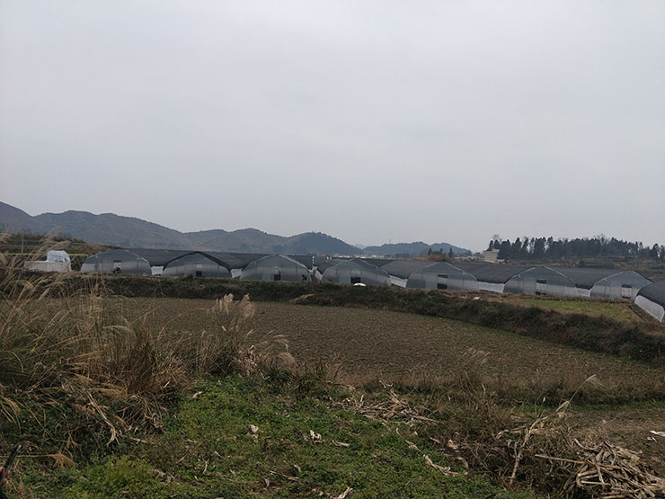 首页-PA真人集团有限公司官网