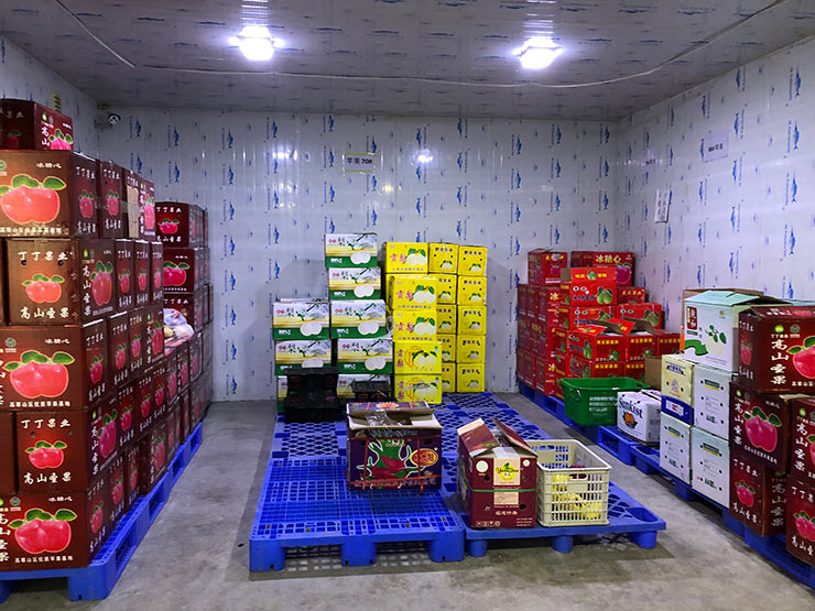 首页-PA真人集团有限公司官网