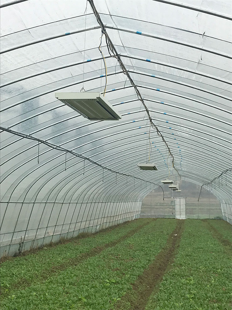 首页-PA真人集团有限公司官网