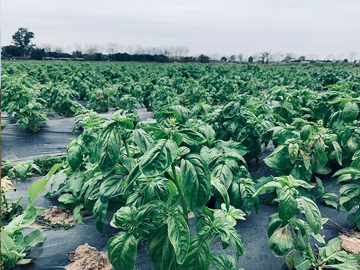 首页-PA真人集团有限公司官网