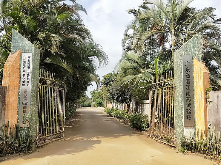 首页-PA真人集团有限公司官网