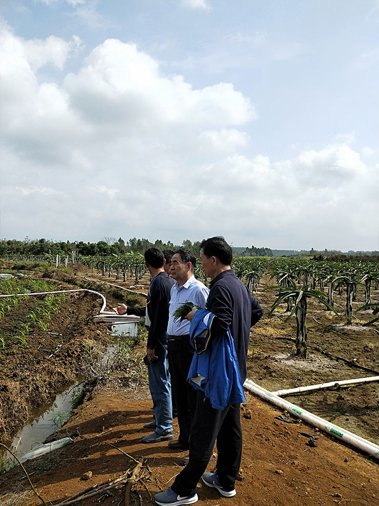 首页-PA真人集团有限公司官网