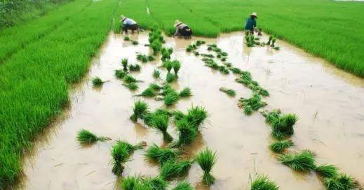 首页-PA真人集团有限公司官网