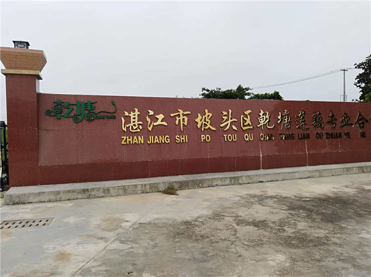 首页-PA真人集团有限公司官网