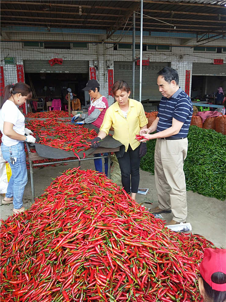 首页-PA真人集团有限公司官网