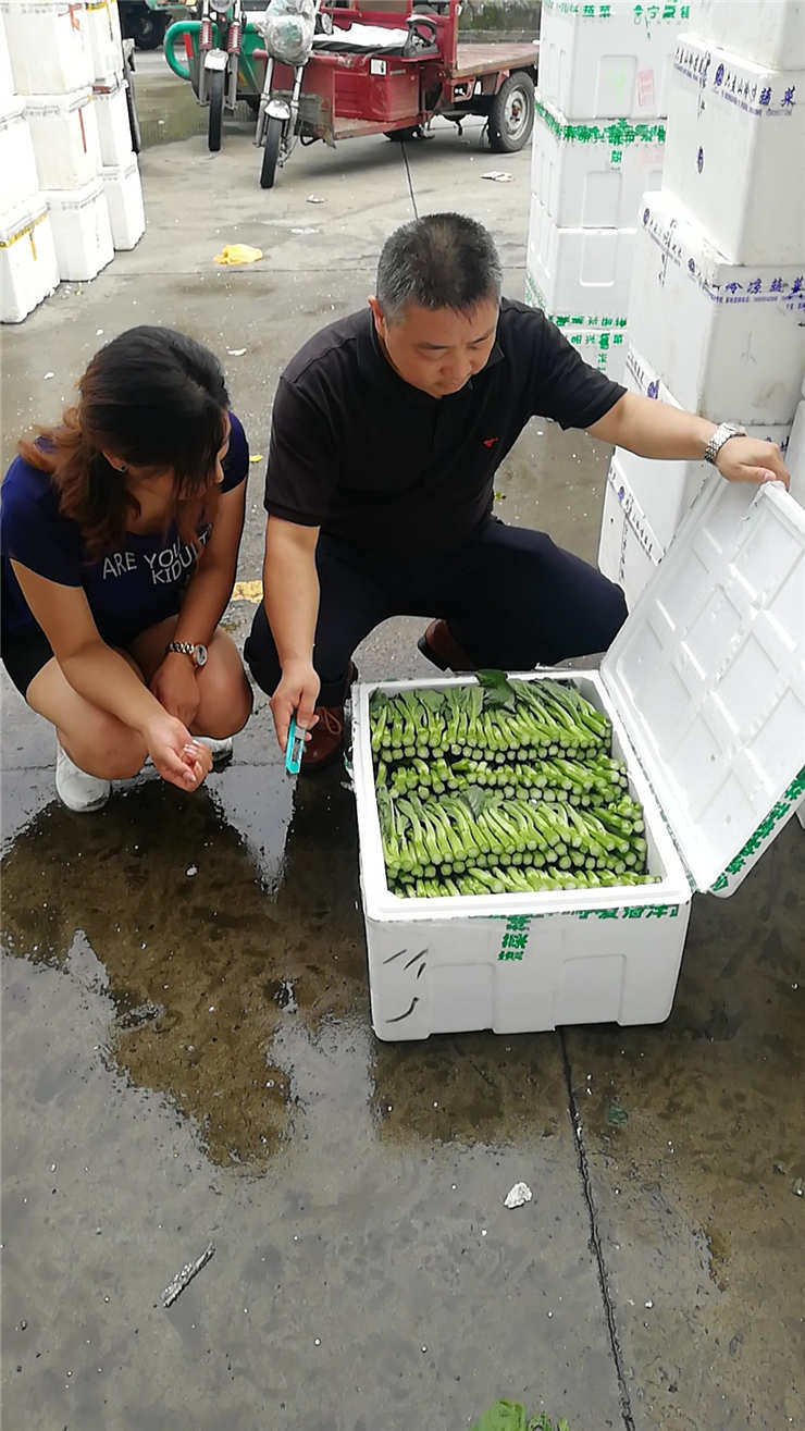 首页-PA真人集团有限公司官网