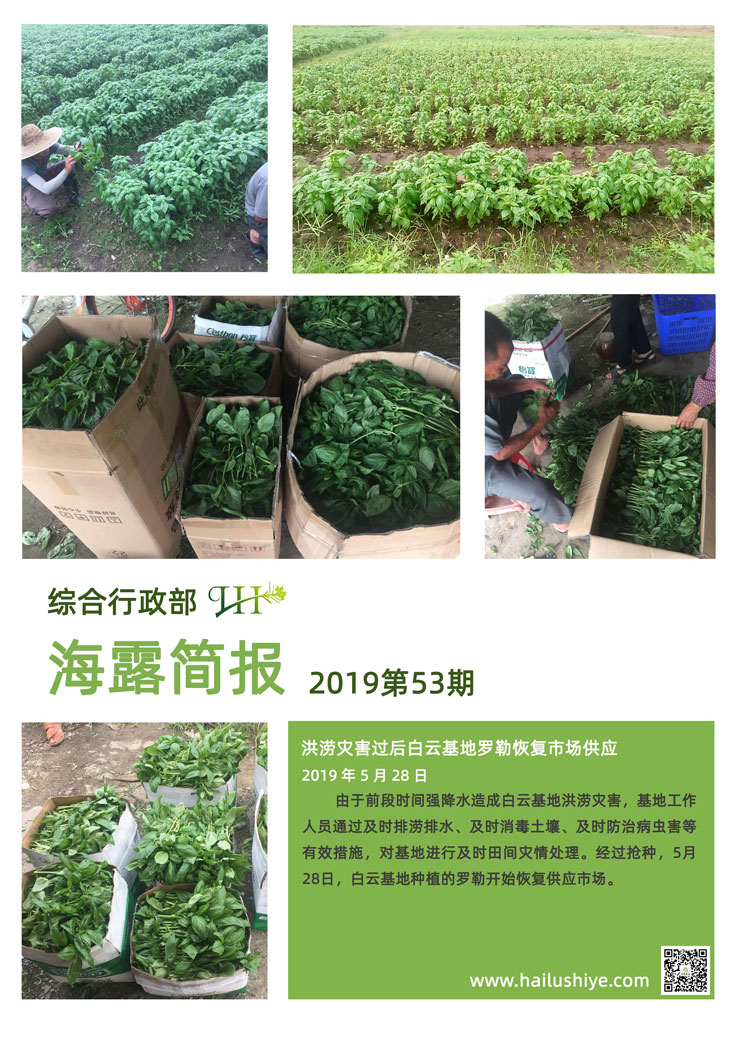 首页-PA真人集团有限公司官网