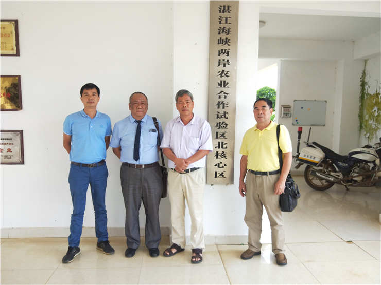 首页-PA真人集团有限公司官网