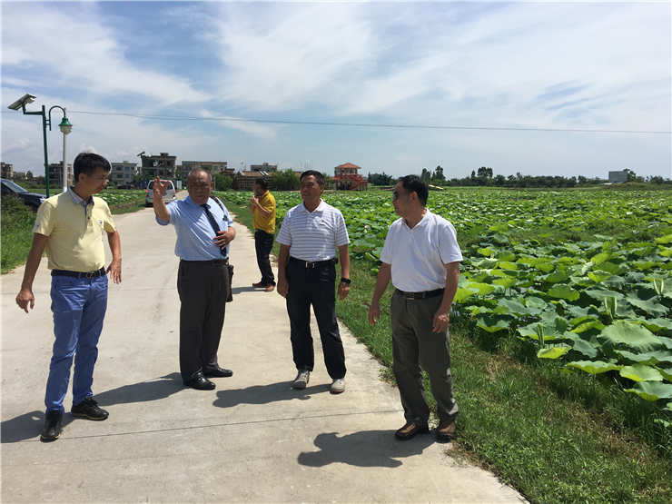 首页-PA真人集团有限公司官网