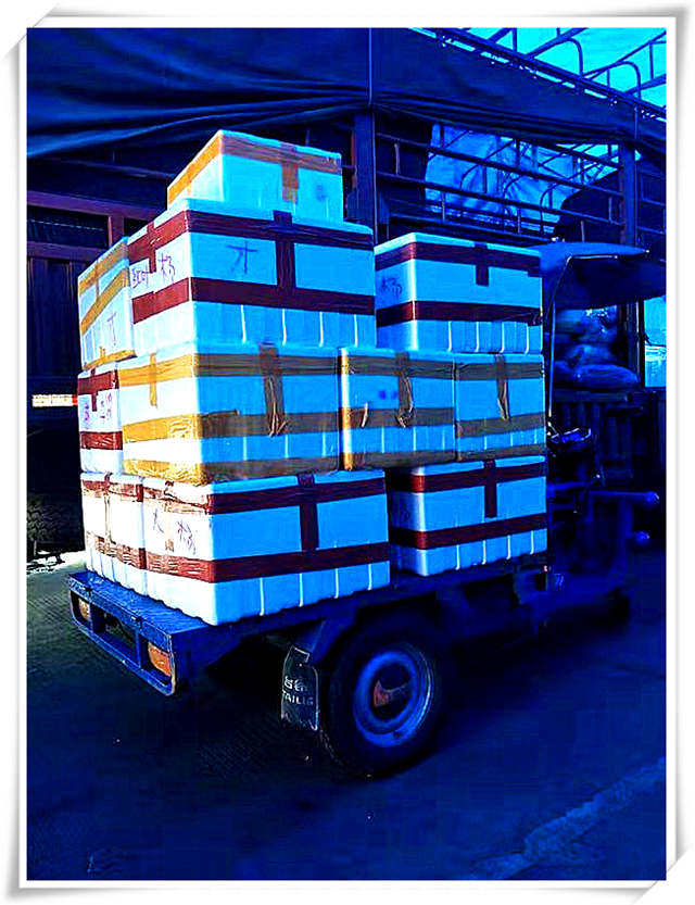 首页-PA真人集团有限公司官网