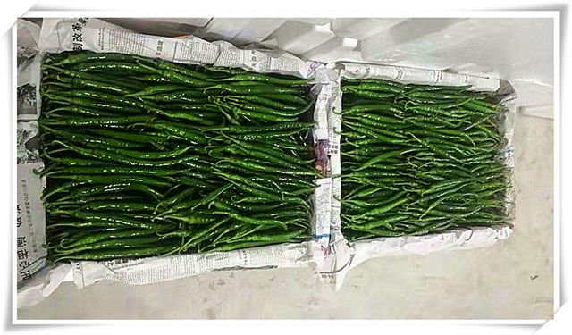 首页-PA真人集团有限公司官网