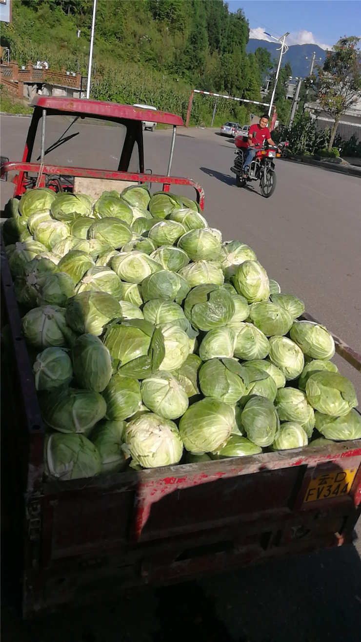 首页-PA真人集团有限公司官网