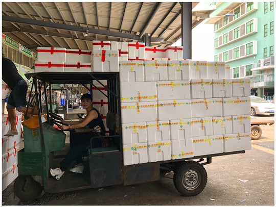 首页-PA真人集团有限公司官网