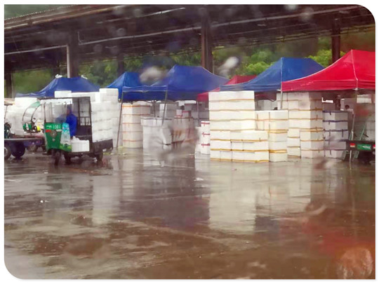 首页-PA真人集团有限公司官网