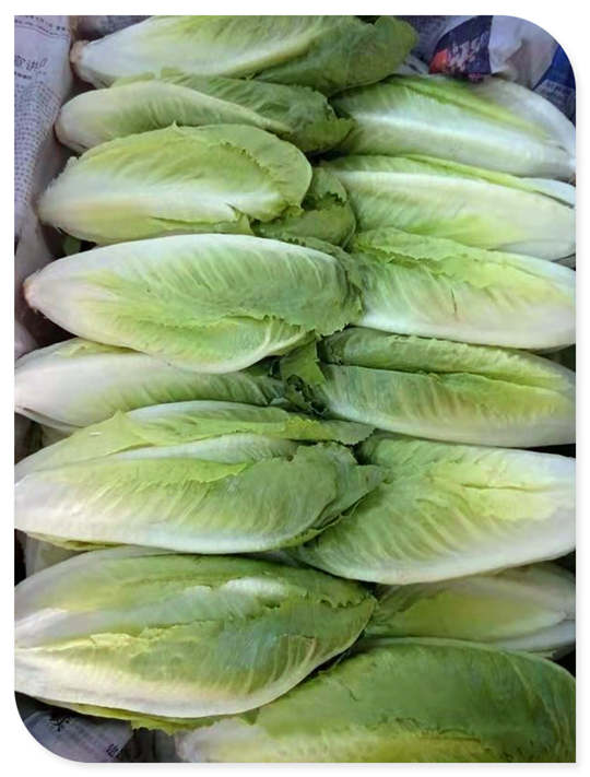 首页-PA真人集团有限公司官网