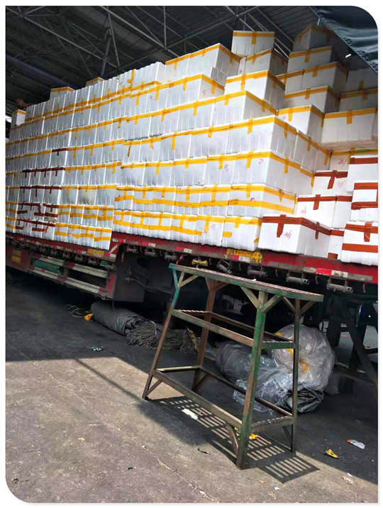 首页-PA真人集团有限公司官网