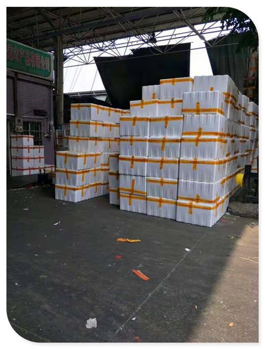 首页-PA真人集团有限公司官网