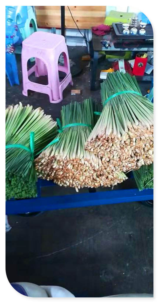 首页-PA真人集团有限公司官网