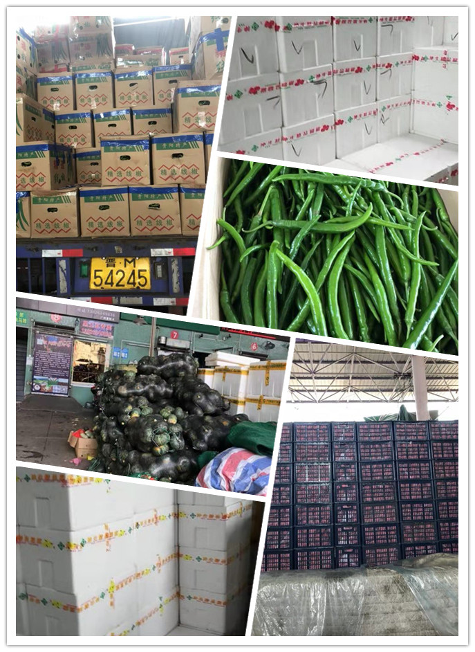 首页-PA真人集团有限公司官网