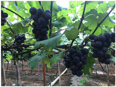 首页-PA真人集团有限公司官网