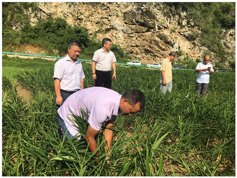 首页-PA真人集团有限公司官网