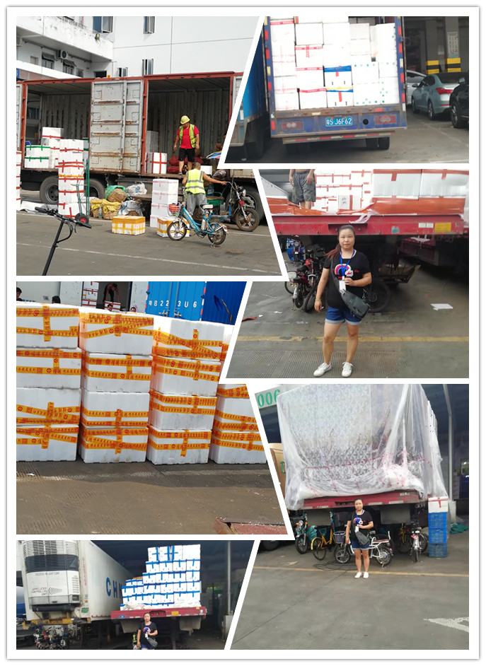 首页-PA真人集团有限公司官网