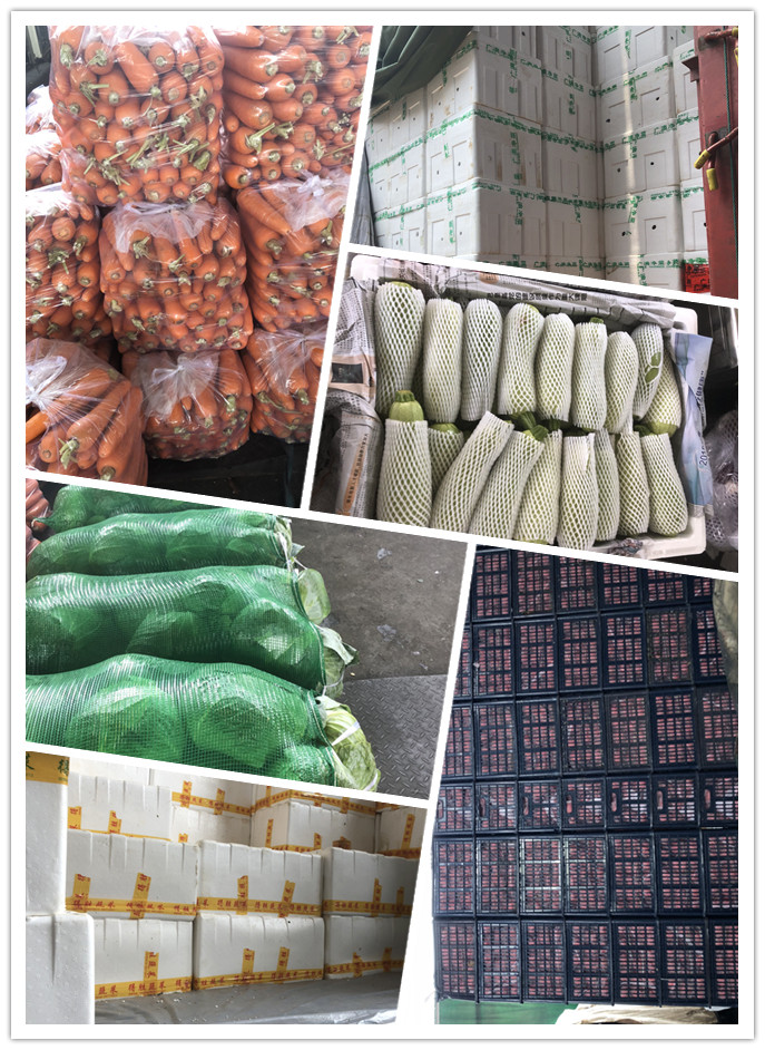 首页-PA真人集团有限公司官网