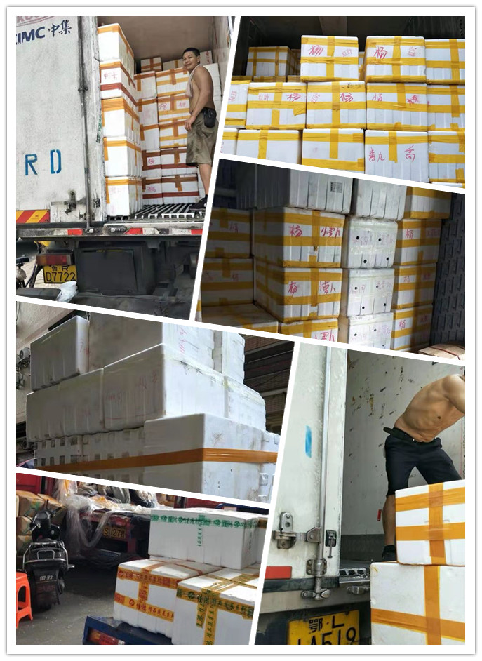 首页-PA真人集团有限公司官网