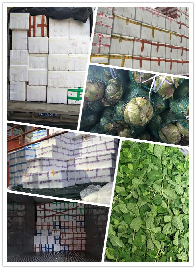 首页-PA真人集团有限公司官网