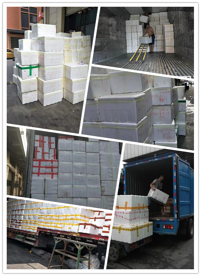 首页-PA真人集团有限公司官网