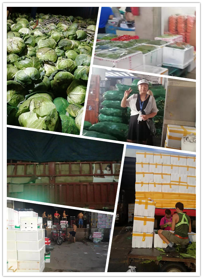 首页-PA真人集团有限公司官网