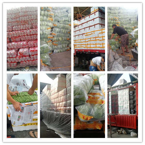 首页-PA真人集团有限公司官网