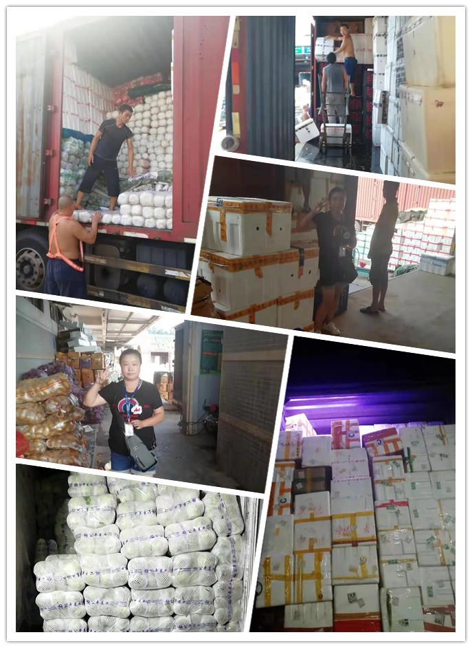 首页-PA真人集团有限公司官网