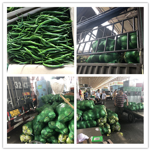 首页-PA真人集团有限公司官网