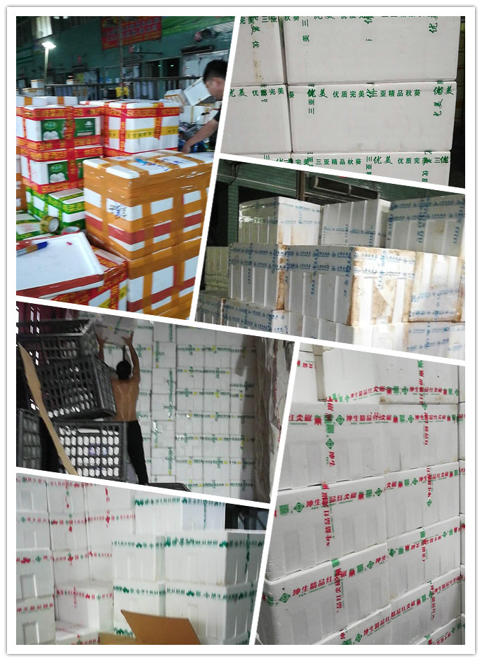 首页-PA真人集团有限公司官网