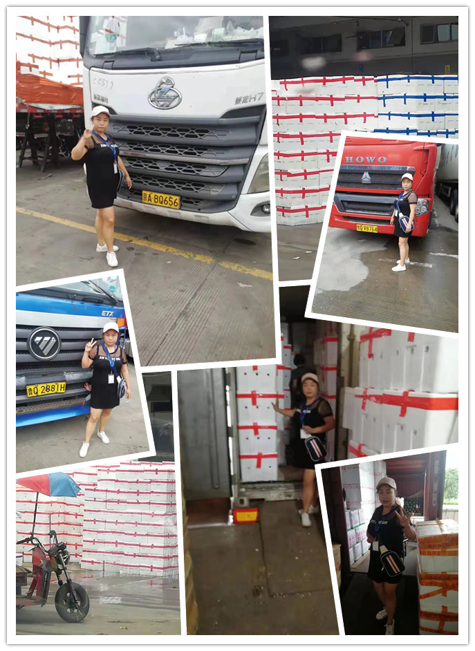 首页-PA真人集团有限公司官网