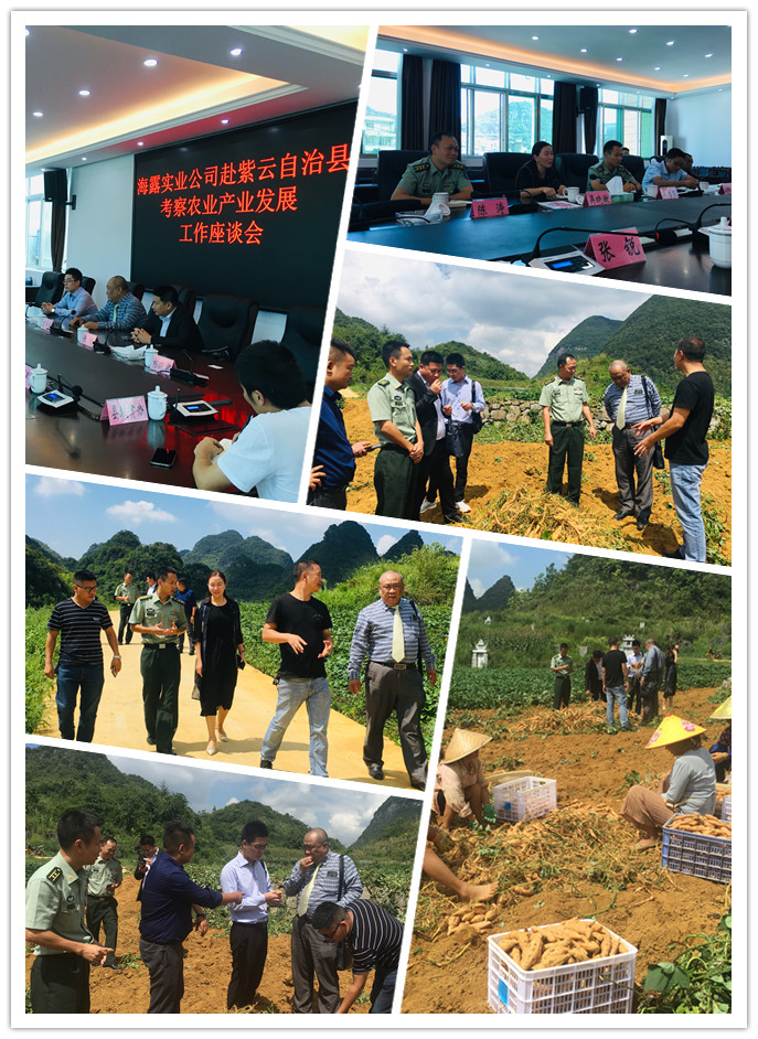 首页-PA真人集团有限公司官网