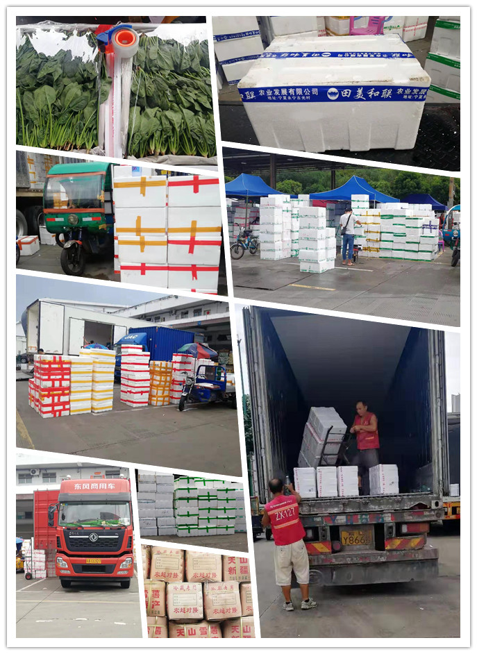 首页-PA真人集团有限公司官网